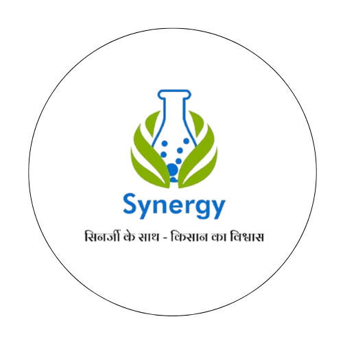 Synergy