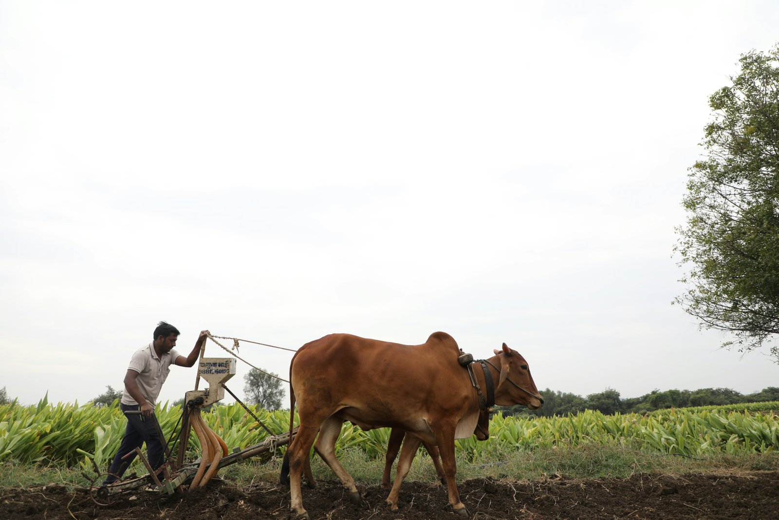 Empowering Farmers Across India
